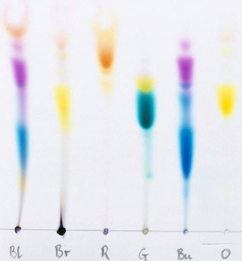 A picture of different colored inks that have been separated using paper chromatography